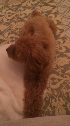 アンと夏子のケンカ。の記事動画