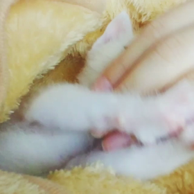 甘えん坊さん(*´˘`*)♡の画像