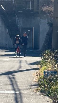 今夜は満月だったのですね　〜多忙な1日を癒やす光の記事動画