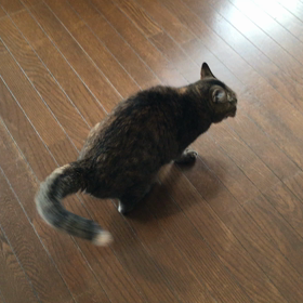 遊ぶの画像