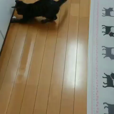 トライアル中♥さつきちゃん♥の記事動画
