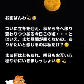 2023/11/08の画像