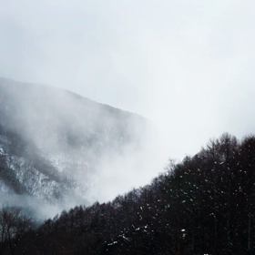 最初で最後の景色の画像
