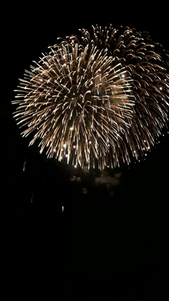 森田花火☆の記事動画