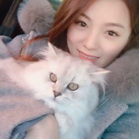 姉   愛猫ちゃんとドライブ♪の画像