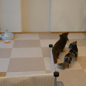 ナイスキャッチの画像
