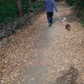 座間谷戸山公園への画像