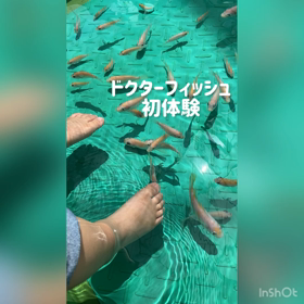 花鳥園の画像