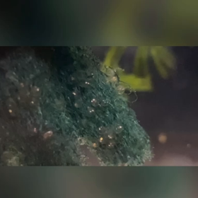 台風２の画像