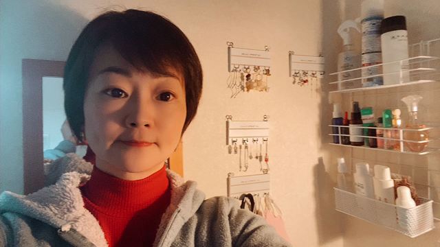 イヤリングの収納の記事動画