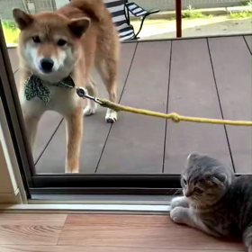 はるステップの画像