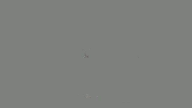 大晦日ですが、1歳になりました…の記事動画