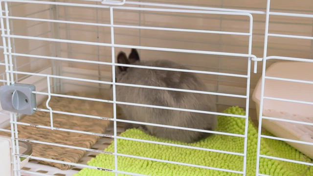 さっそく課題満載ですの記事動画