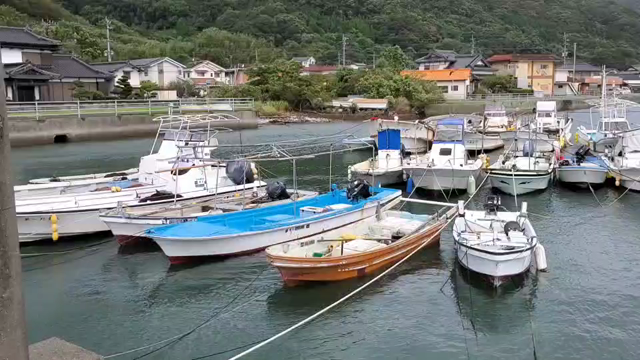台風の記事動画