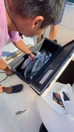 太刀魚テンヤの記事動画