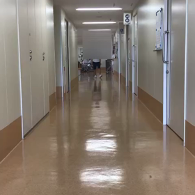 歩様の画像