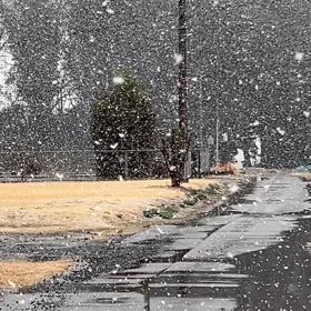 石岡八郷ベースオッサン半端ねぇの画像