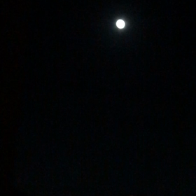 美しい星空の画像