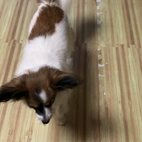 お母さんは、〇〇してくれる人・・の画像