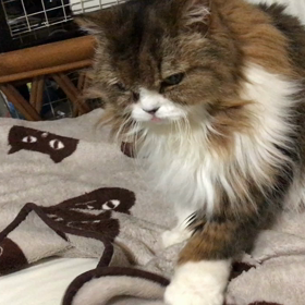 手元、口元に着目〜♪の画像