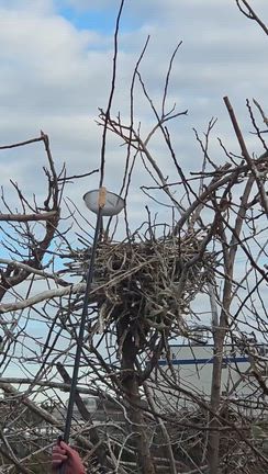 ドライアイス作戦の記事動画