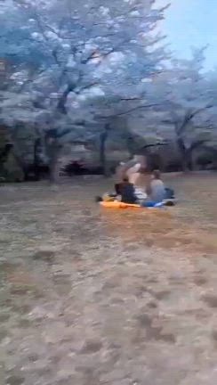 賽は投げられたのです。の記事動画