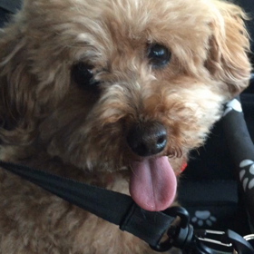 ドライブの画像