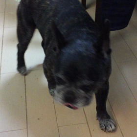 大変よくできましたっ！の画像