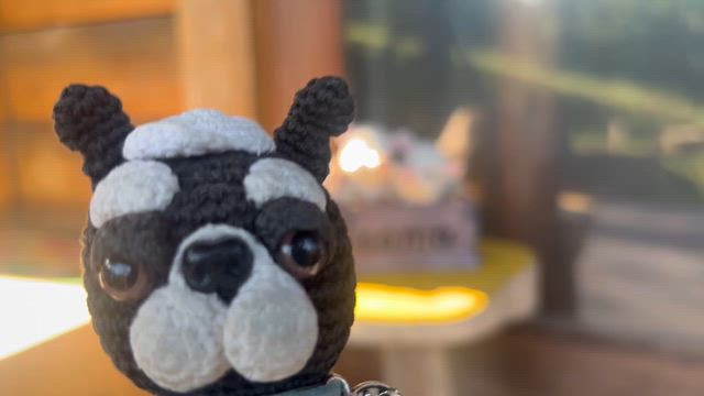 ズル休み…じゃないニャン♪の記事動画