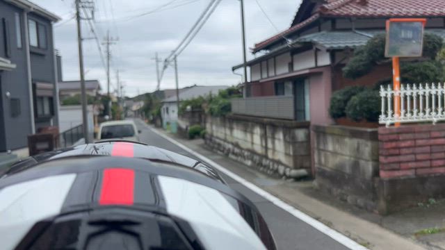 やっぱタンデムだぶーニャン♪の記事動画