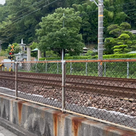 かわった電車の画像