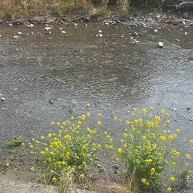 水があったの画像