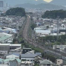今日も黄色いお医者さんの画像