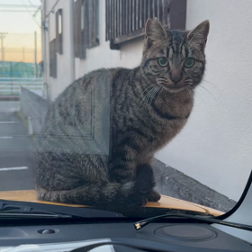 無警戒？の画像