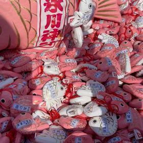 ダブル⁈の画像