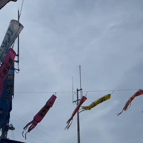 いかのぼり？の画像