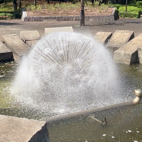 癒しの画像