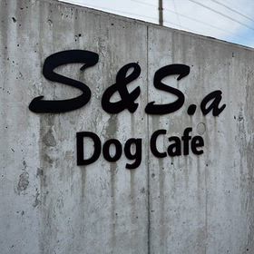 DOGカフェの画像