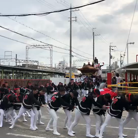 後2週間の画像