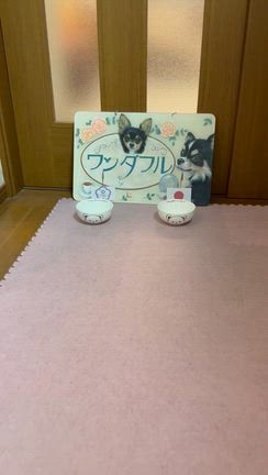 こてつ、決戦の金曜日の記事動画