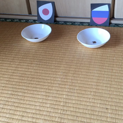 ラグビーワールドカップ占いの記事動画