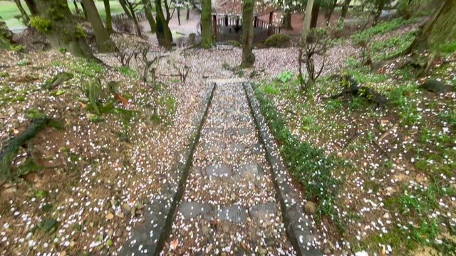 喜怒哀楽ツアー〜Fun Spring〜秋田公演、無事終了しました⭐︎の記事動画