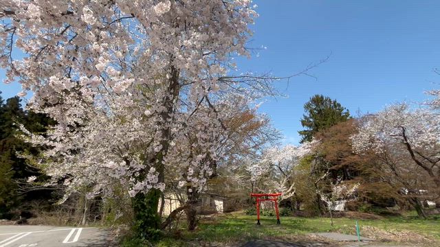 喜怒哀楽ツアー〜Fun Spring〜青森公演、無事終了しました⭐︎の記事動画
