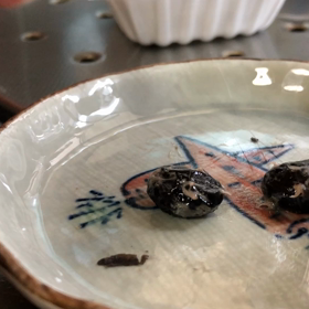 黒豆納豆を食べる黒猫ヤマトの画像