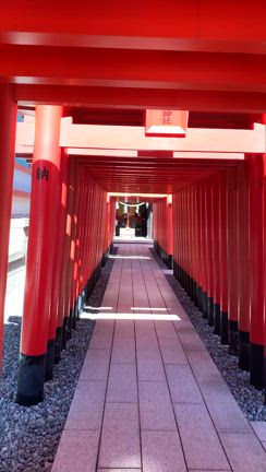 【穴守稲荷神社⛩】の記事動画