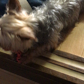 今の日常の画像