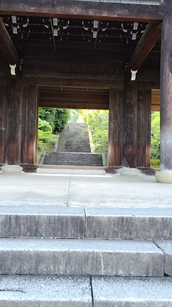 仙台へ行ってまいります！の記事動画