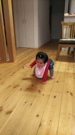 2歳0ヶ月☆ひなまつりの記事動画