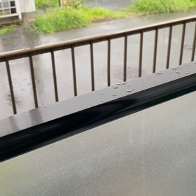 欲張りだからさ、雨も楽しんじゃうの画像