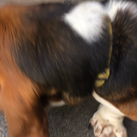 手を離さないで！の画像